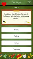 4. Sınıflar Türkçe Testleri capture d'écran 2