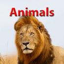 Animals for Kids Education APK