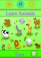 Animals for Kids Education Affiche