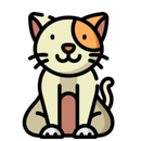 Kitty! APK