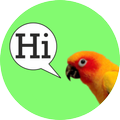 Parrot Speak
