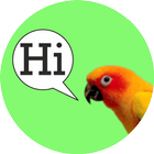 Parrot Speak أيقونة