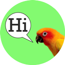 APK Parrot Speak