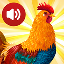 Nouvelles sonneries d'animaux et effets sonores APK