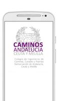 CICCP Andalucía постер