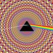 Illusion Pro