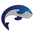 Whales College