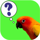 APK ParrotQuiz