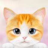 Cat Dress Up icon