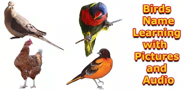 Birds Names with Pictures