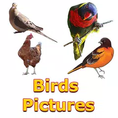 Descargar APK de Birds Names with Pictures