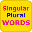 Singular Plural Words APK