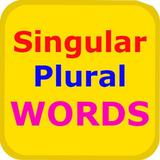 Singular Plural Words