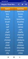 Singular Plural Words постер