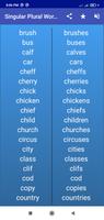 Singular Plural Words скриншот 1