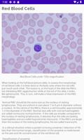 Hematology Cells syot layar 1