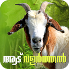 Goat Farming Malayalam أيقونة