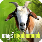 Goat Farming Malayalam icon