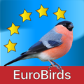 Die Vögel Europas