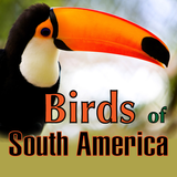 Birds of South America APK