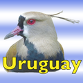 The Birds of Uruguay