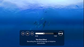 NYTimes - Daydream ภาพหน้าจอ 2