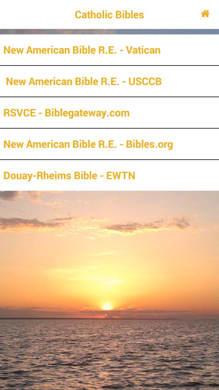 Catholic Daily Reflections For Android Apk Download