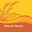 Mandi News