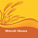 Mandi News APK