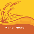 Mandi News icône