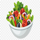 Salad Recipes icône