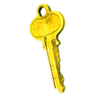 PGP KeyRing (Trial Version) simgesi