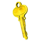 PGP KeyRing (Trial Version) icon