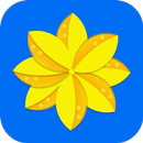 Gallery 2023 APK