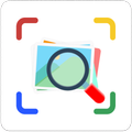 Reverse Image Search