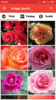 Image Search পোস্টার