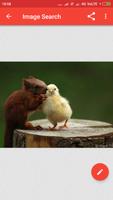 Image Search স্ক্রিনশট 1