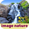 image nature