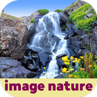 image nature biểu tượng