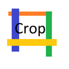Screenshot/Image editor icon