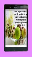 Galería de Flores 포스터