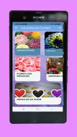 Galería de Flores 스크린샷 1