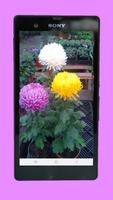 Galería de Flores 스크린샷 2