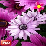 Fondos de pantalla de flores 2020