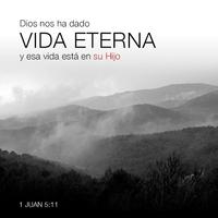 Versículos Bíblicos imagem de tela 3