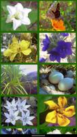Natureza اسکرین شاٹ 1
