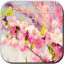 Frases Cristianas con Flores APK
