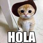 Hola Cómo Estás biểu tượng