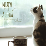 Cat Quotes