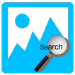 Image Search icon
